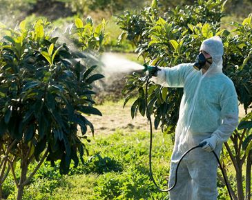Amasya Böcek İlaçlama İş Yeri