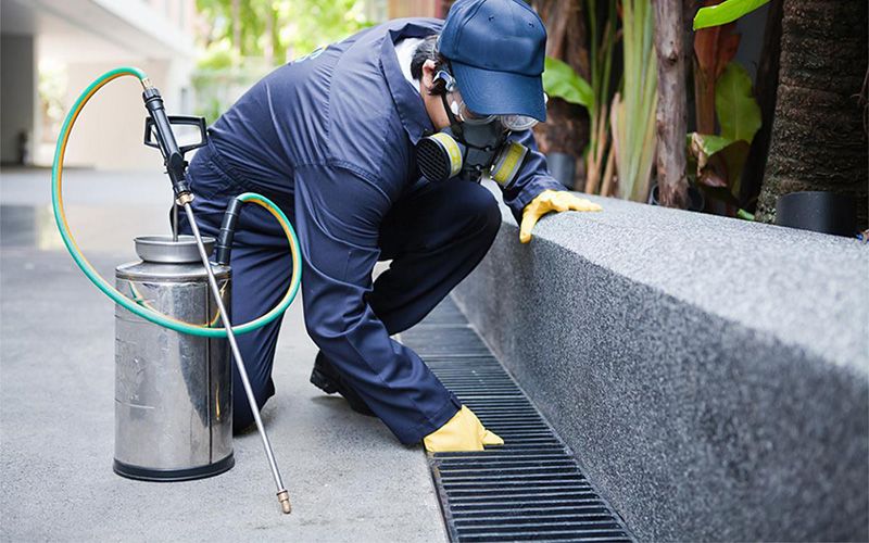 Amasya Böcek İlaçlama Hamam Böceği